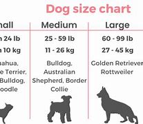 Image result for How Big Is 28GS