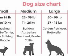 Image result for 14 Inches Dog