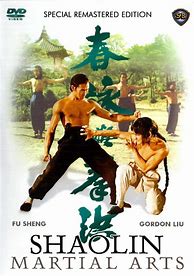 Image result for Shaolin Martial Arts Movie