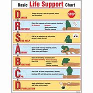 Image result for Basic Life Support Child