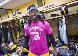 Image result for Pittsburgh Steelers Memes