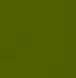 Image result for Lime Green Shades