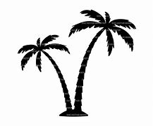 Image result for Beach Palm Tree Silhouette