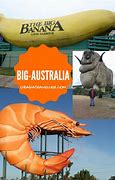 Image result for Largest Banana in the World
