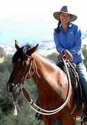 Image result for Professional Horse Trainers