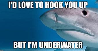 Image result for Cow Shark Meme