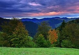 Image result for fall scenory