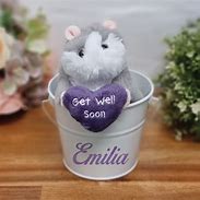 Image result for Get Well Soon Photos Hamster