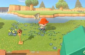 Image result for Animalcrossing Mole Cricket