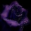 Image result for Purple Flower Phone Wallpaper
