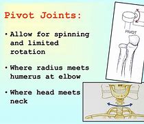 Image result for Pivot Joint Movement