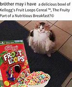 Image result for Cat Eating Fruit Loops Meme