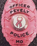 Image result for Police Shield Badge