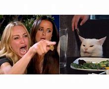Image result for Angry Girl Cat Meme