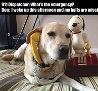 Image result for Answer the Phone Funny