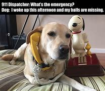 Image result for Talking On Phone Funny