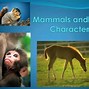 Image result for How Do You Spell Mammal