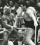 Image result for Hulk Hogan Andre Giant