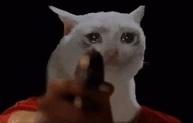 Image result for Sad Cat Gun Meme