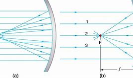 Image result for Curved Mirrors Physics