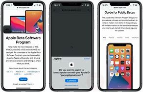 Image result for iPhone 1 Beta