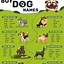 Image result for Great Boy Dog Names