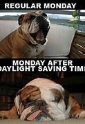 Image result for Daylight Savings Time MEME Funny