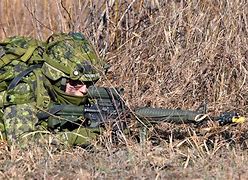 Image result for Canadian Army Guns
