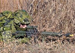 Image result for Canadian Army Weapons
