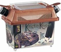 Image result for Cricket Container