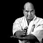 Image result for Kyokushin Fights