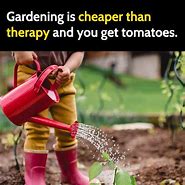 Image result for Funny Gardening Memes
