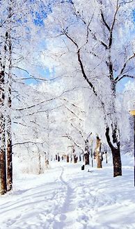 Image result for Winter Theme Wallpaper