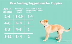 Image result for Raw Dog Food Feeding Chart
