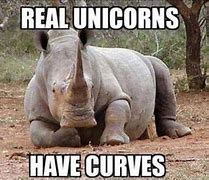 Image result for Unicorn Rhino Marlin Meme