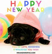 Image result for Happy New Year Pug