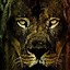 Image result for Samsung Galaxy Phone Cases Israel Lion of Judah