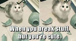 Image result for Cat Break Things Meme