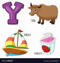 Image result for Letter Y Objects