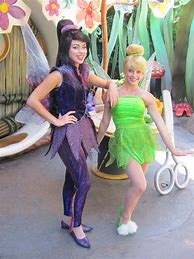 Image result for Tinkerbell and Friends Costumes