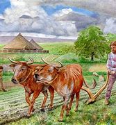 Image result for Iron Age Farming Tools