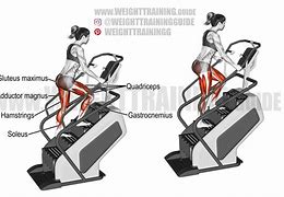 Image result for Stair Climbing Muscles
