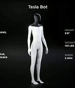 Image result for Ash Reid Tesla Bot