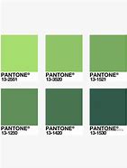 Image result for Panton Verde