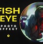 Image result for Fisheye Lens Overlay