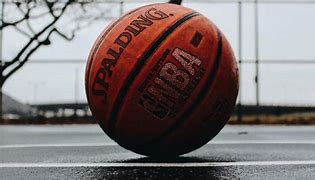 Image result for Spalding Basketball Logo