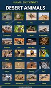 Image result for Mojave Desert Animals List