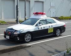 Image result for Japanese Police Catching Stick