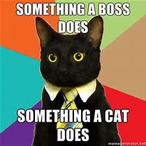 Image result for Cat Boss Meme