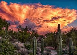 Image result for Most Beautiful Scenery in Southern Arizona